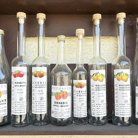 Ferienglueck Auf 2 Etagen - Obstbau Koch By Interhome * Bodman-Ludwigshafen