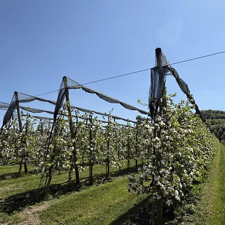 Ferienglueck Auf 2 Etagen - Obstbau Koch By Interhome *