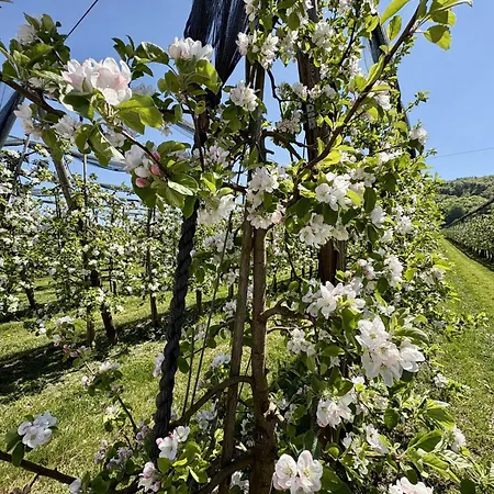 Ferienglueck Auf 2 Etagen - Obstbau Koch By Interhome Appartamento